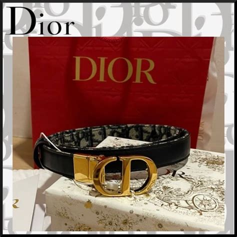 christian dior riem heren|Dior plastic kleding.